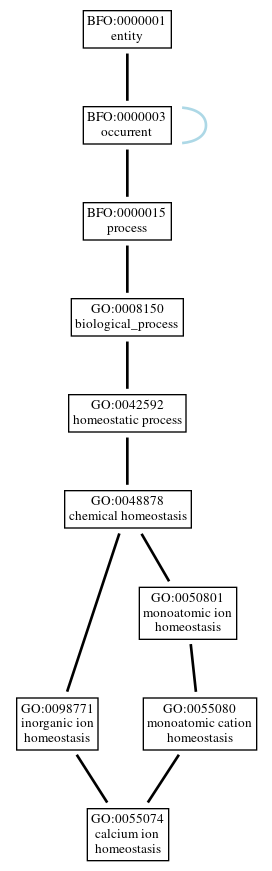 Graph of GO:0055074