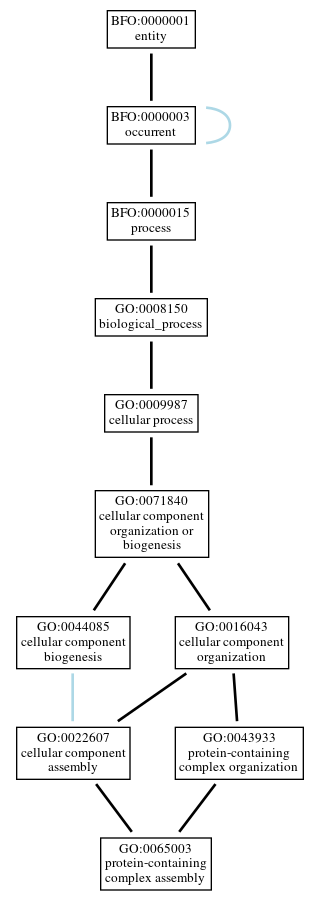 Graph of GO:0065003