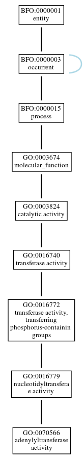 Graph of GO:0070566