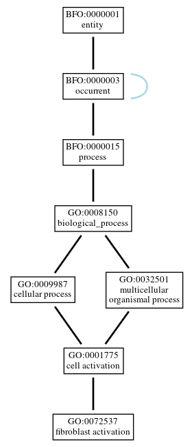 Graph of GO:0072537
