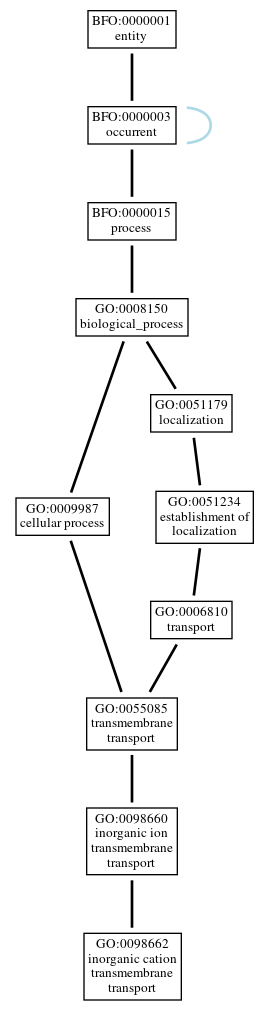 Graph of GO:0098662