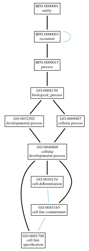Graph of GO:0001708