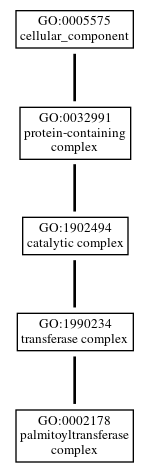 Graph of GO:0002178