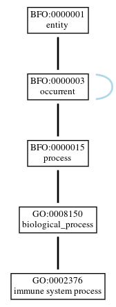 Graph of GO:0002376