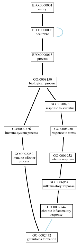 Graph of GO:0002432
