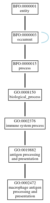 Graph of GO:0002472