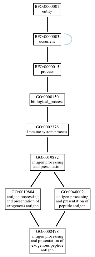 Graph of GO:0002478