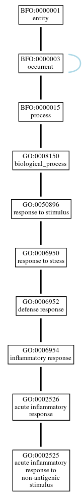 Graph of GO:0002525