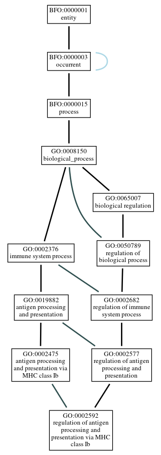 Graph of GO:0002592