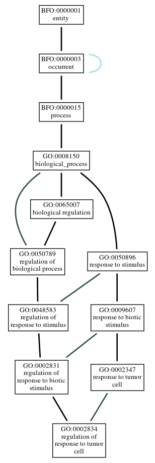 Graph of GO:0002834