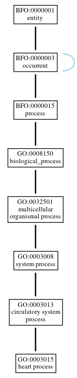 Graph of GO:0003015