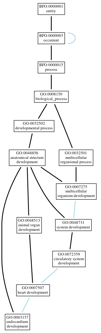 Graph of GO:0003157