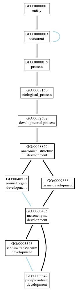 Graph of GO:0003342