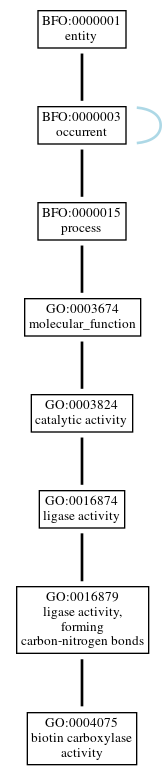 Graph of GO:0004075