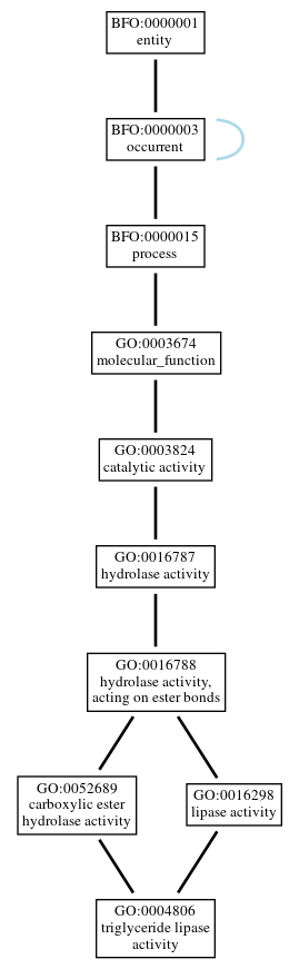 Graph of GO:0004806