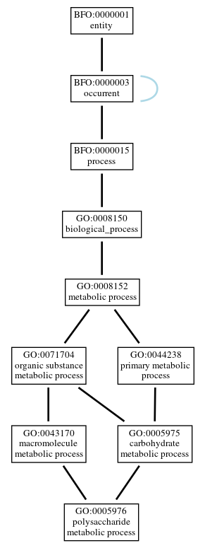 Graph of GO:0005976