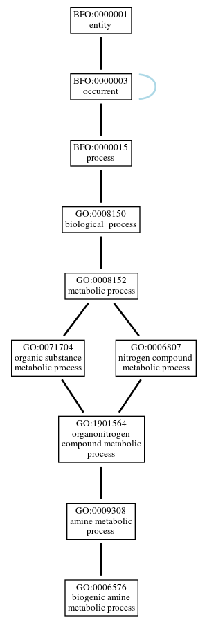 Graph of GO:0006576