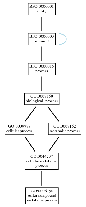 Graph of GO:0006790