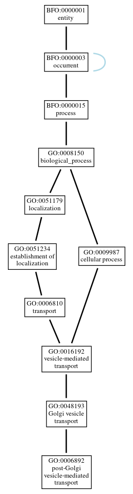 Graph of GO:0006892