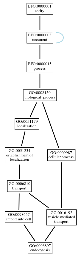 Graph of GO:0006897