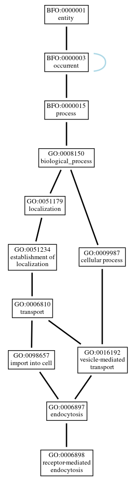 Graph of GO:0006898