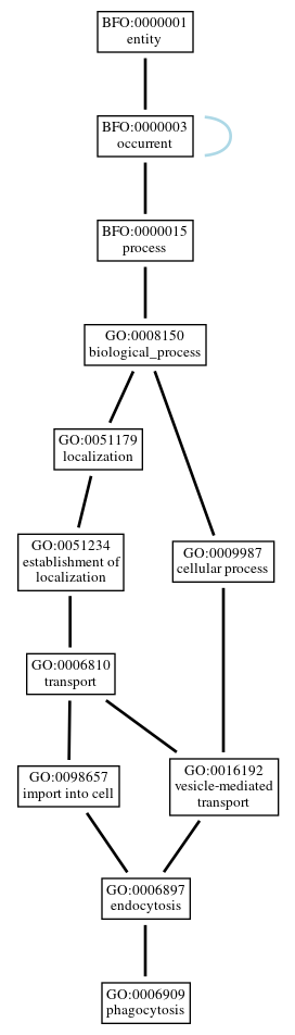 Graph of GO:0006909