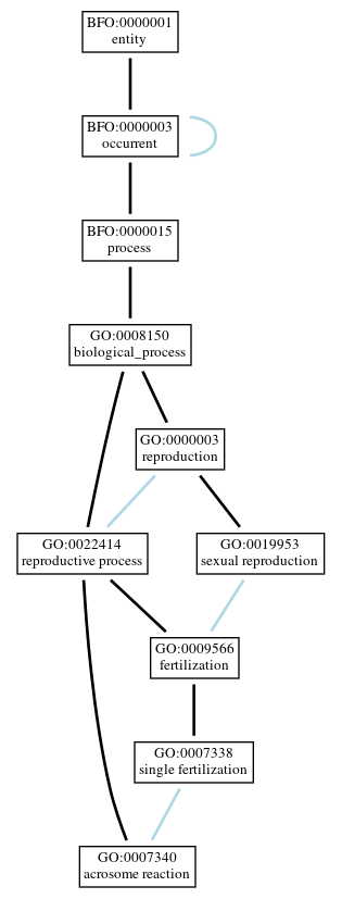 Graph of GO:0007340