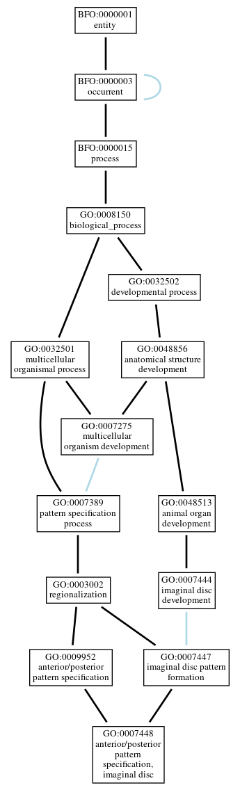 Graph of GO:0007448