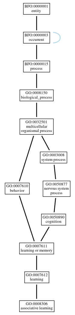 Graph of GO:0008306