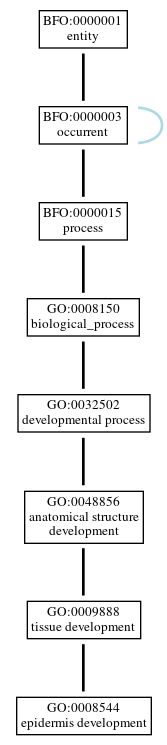 Graph of GO:0008544