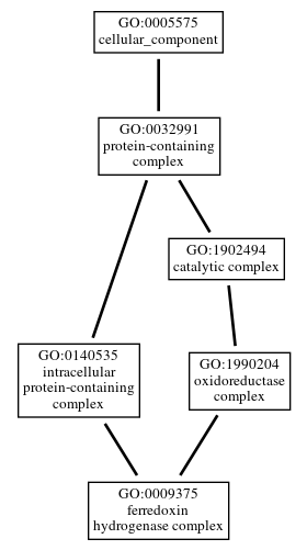 Graph of GO:0009375