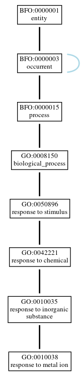 Graph of GO:0010038