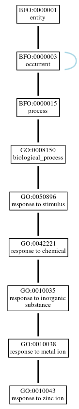 Graph of GO:0010043