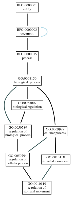 Graph of GO:0010119