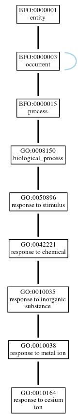 Graph of GO:0010164