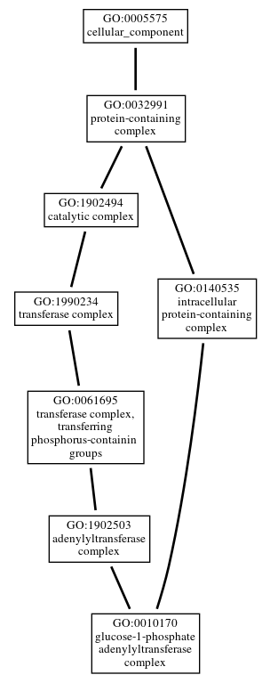 Graph of GO:0010170