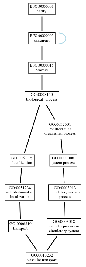 Graph of GO:0010232