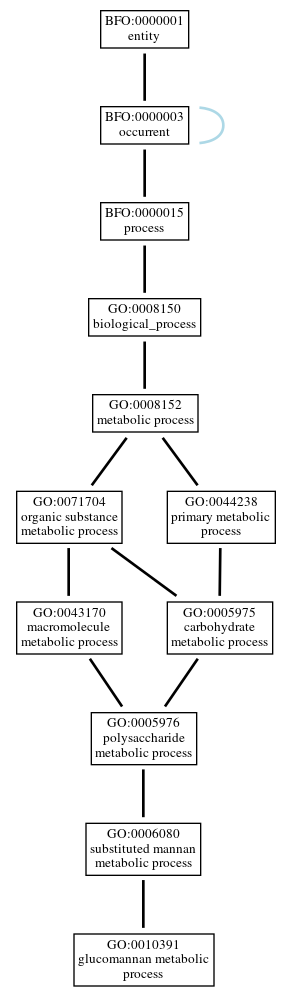 Graph of GO:0010391