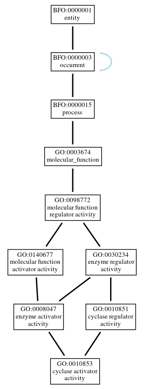 Graph of GO:0010853