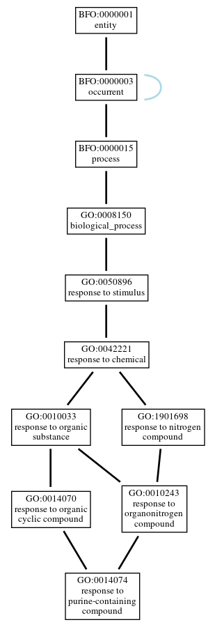 Graph of GO:0014074