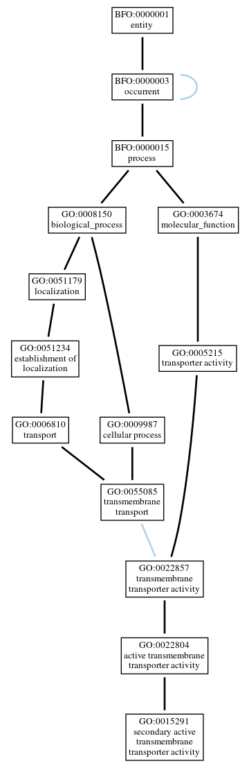 Graph of GO:0015291