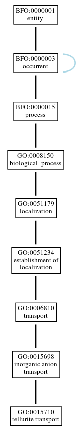 Graph of GO:0015710
