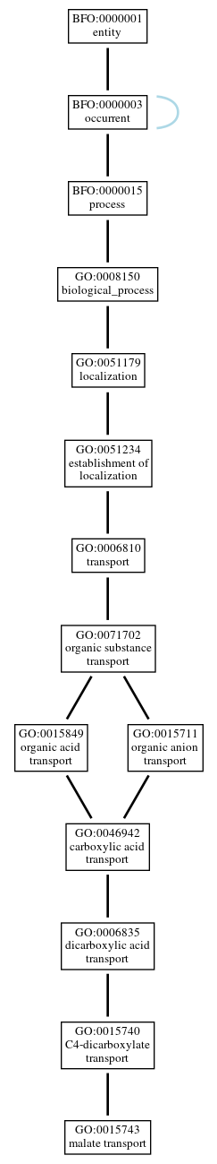 Graph of GO:0015743