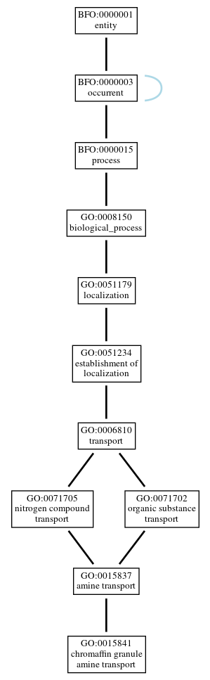 Graph of GO:0015841