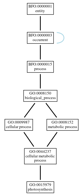 Graph of GO:0015979
