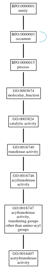 Graph of GO:0016407