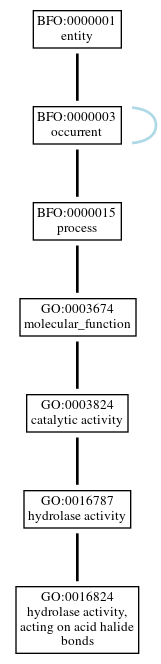 Graph of GO:0016824