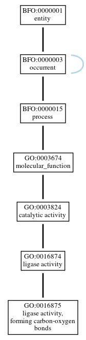 Graph of GO:0016875