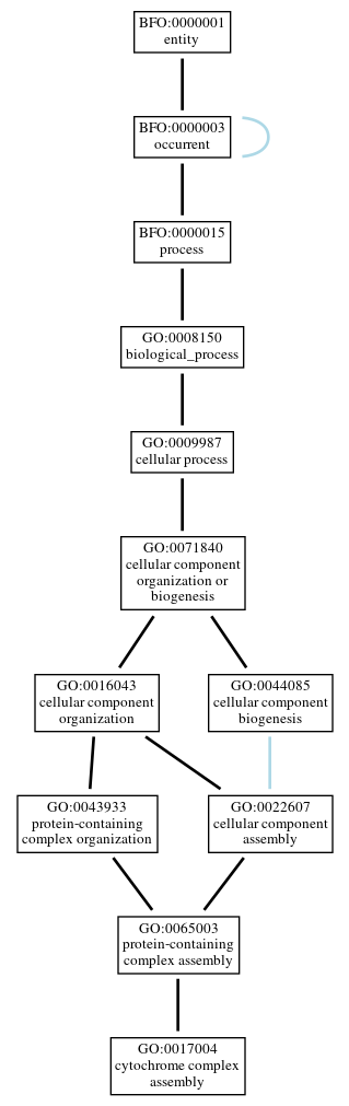 Graph of GO:0017004