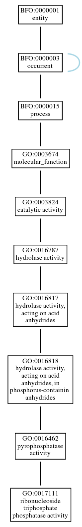 Graph of GO:0017111